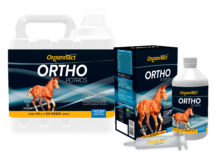 Ortho Potros