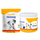 Promun Dog