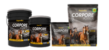 Corpore Potros