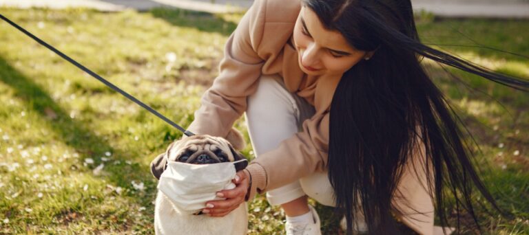 Cachorros e gatos podem pegar o novo coronavírus?