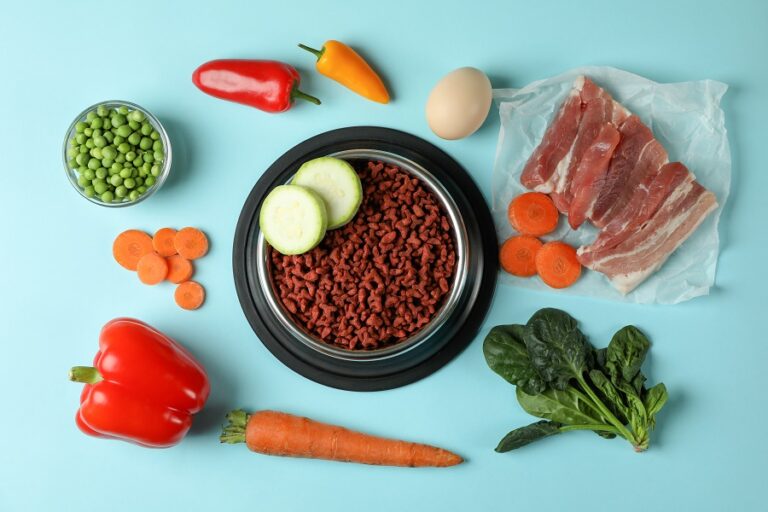 Qual a diferença entre a alimentação natural e caseira para pets?