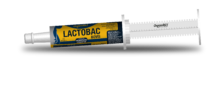 Lactobac Bovis