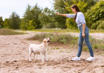 Dicas de adestrador: ensine comandos básicos aos cães