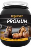 Promun Equi