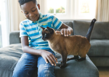 Quanto tempo seu pet pode ficar sozinho em casa?