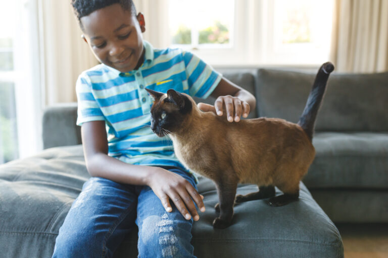 Quanto tempo seu pet pode ficar sozinho em casa?