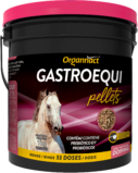 GASTROEQUI PELLETS
