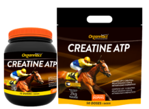 Creatine Atp
