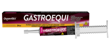 GASTROEQUI PASTA